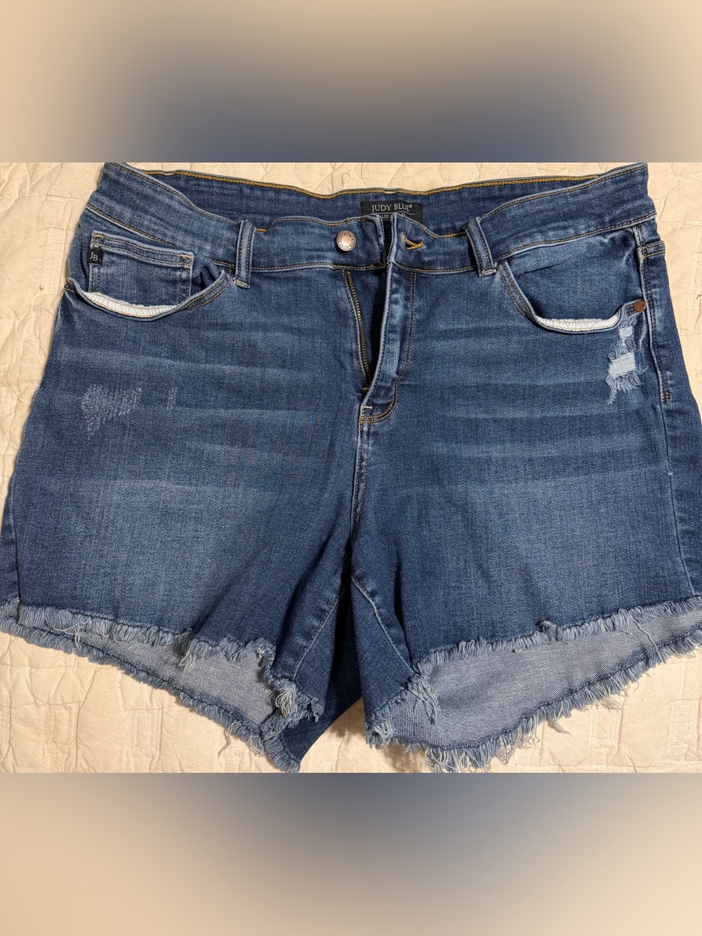 Judy Blue High-Rise Frayed Hem Denim Shorts - Blue